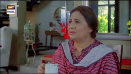 Dil-e-Veeran Episode 54 - 2nd Aug 2022